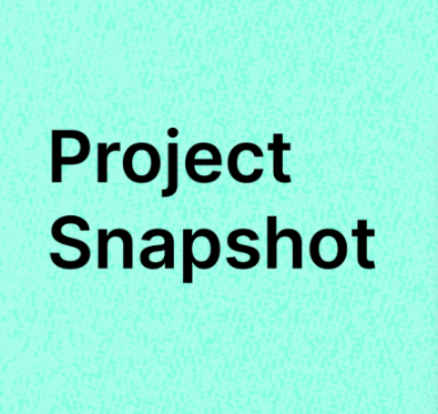 Project Snapshot
